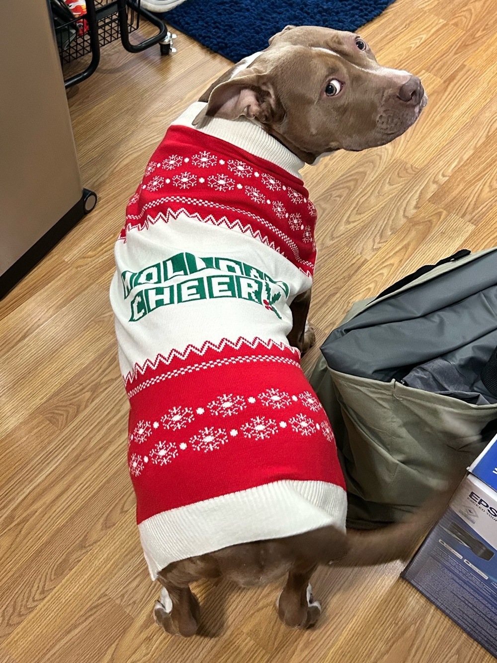 GUC Frisco Holiday Cheer Christmas Dog Sweater Red Fair Isle Snowflake XXL